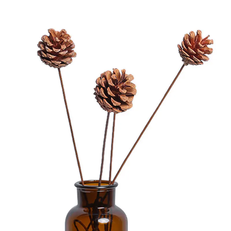 

Floral Preserved For Decor Christmas Ornaments Shooting Props Dried Flowers DIY Craft Accessories Natural Pinecones Lotus Cotton