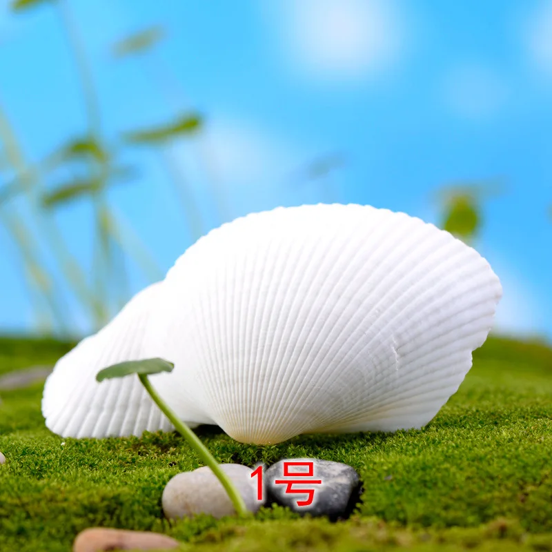 5 шт. магический цвет ракушка Морская звезда миниатюрный орнамент мини игрушка