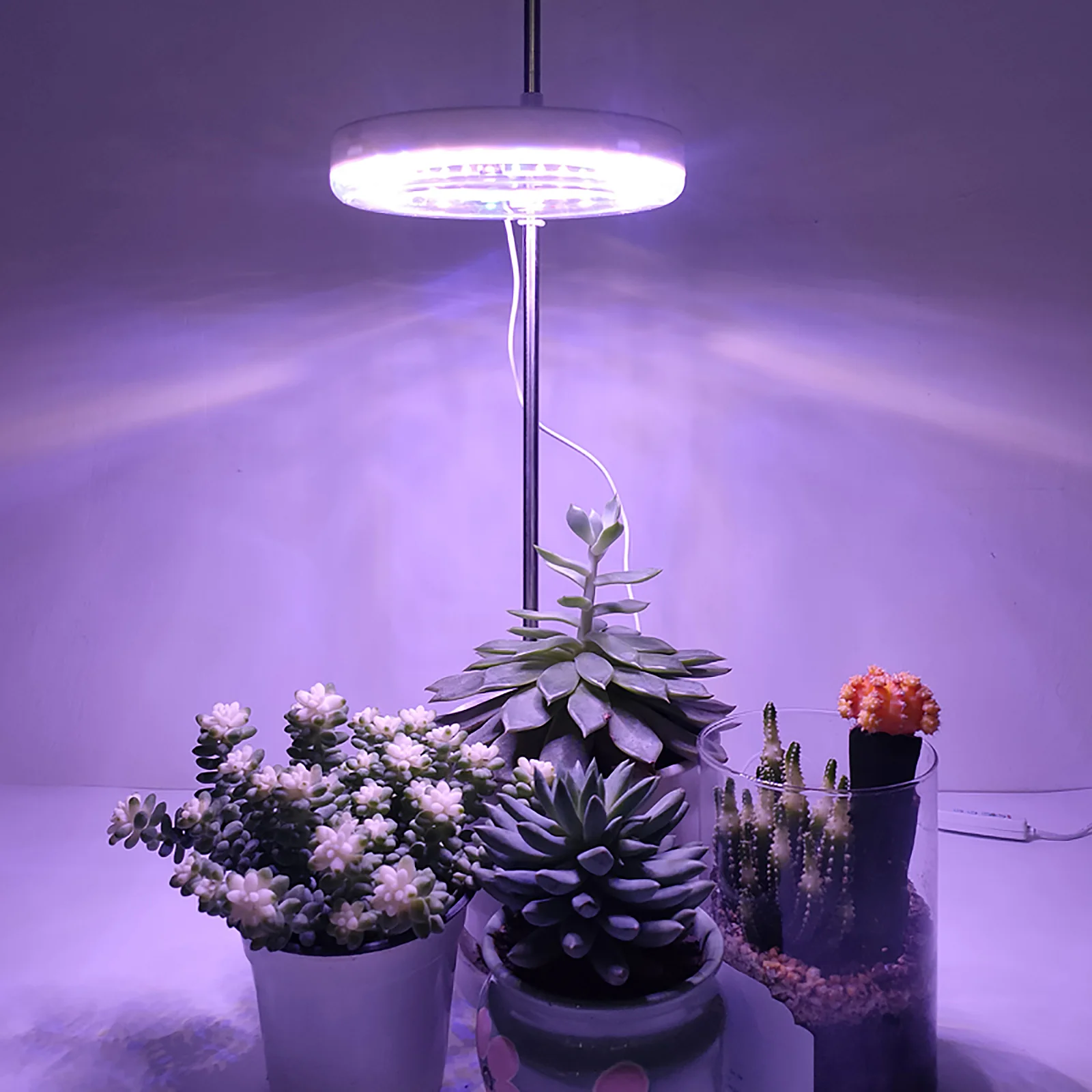 Double Spectrum Timer LED Plant Growth Light Succulent Green Leafy Indoor Greenhouse Lighting Growing Lamps