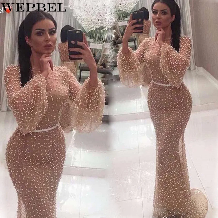 

WEPBEL Dress Autumn Solid Color Mesh See-through Embroidered Flares Dress Women's Elegant Puff Sleeve O-Neck High Waist Dress