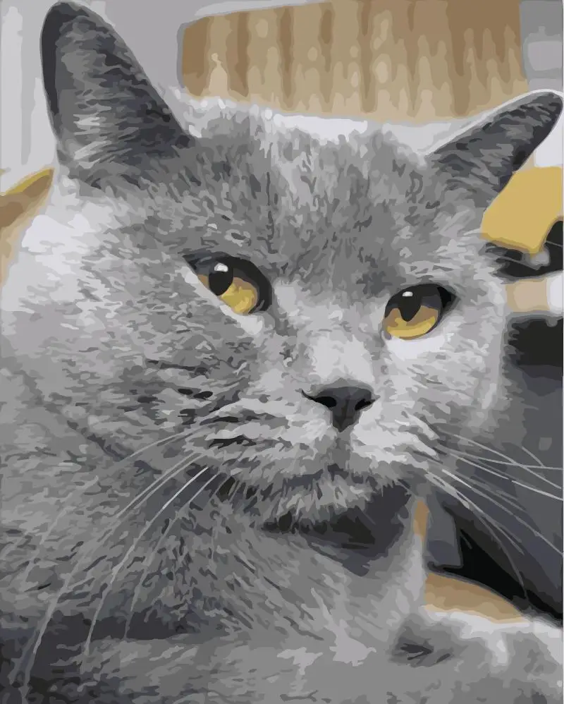 Милый зеленый глаз кот животное Сделай Сам картина по номерам настенная