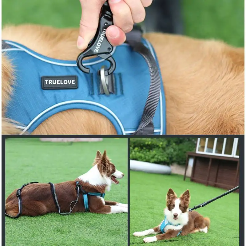 

Leashes Elastic Buffer and Explosion Proof Dog Seat Belt Pet Supplies Dog Accessories Dog Leash Running Rope Dog Supplies