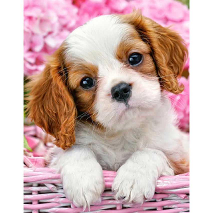 

5D DIY Diamond Painting Square/Round Cross Stitch Kit Diamond Mosaic Embroidery Flower Dog Picture Home Decoration Gift BM291