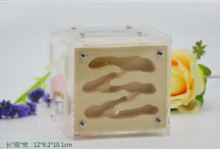 Plaster Ant Nest Acrylic Farm Ants Queen House Insect Cage Anthills Pet Granja De Hormiga Hormiguero Antfarm | Игрушки и хобби