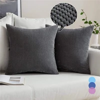 2pcs decorative pillows velvet cushion cover home decor pillow cover living room bedroom sofa nordic cojines decorativos