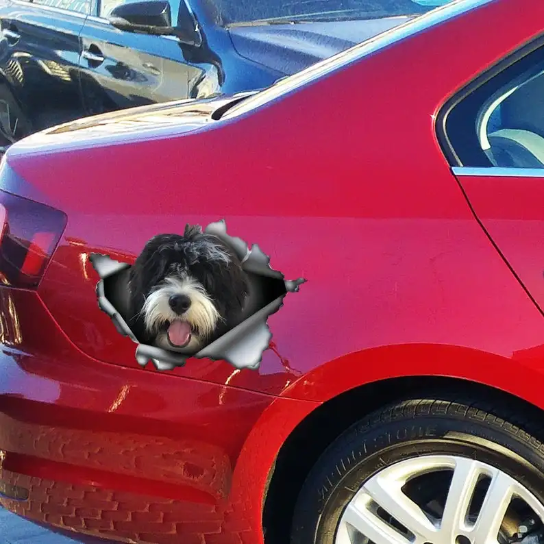 

2021 Bernedoodle car decal, Bernedoodle magnet, Bernedoodle car sticker, Bernedoodle decal