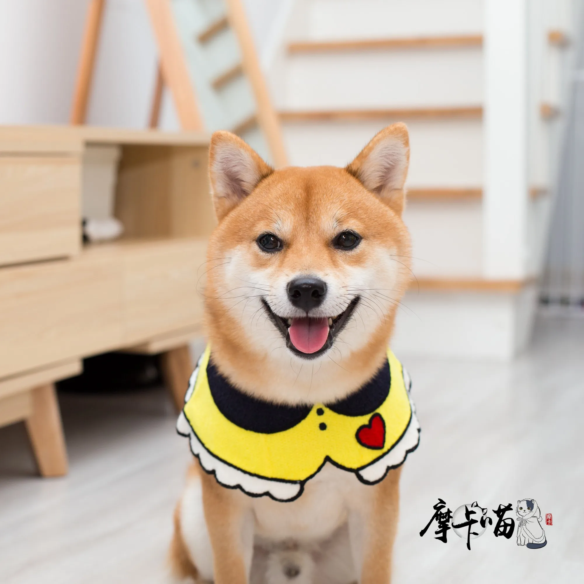 

Слюнявчик для домашних животных ручной работы, шарф для кошек и собак, шарф, аксессуары для украшения кошек, нагрудник, ювелирные изделия