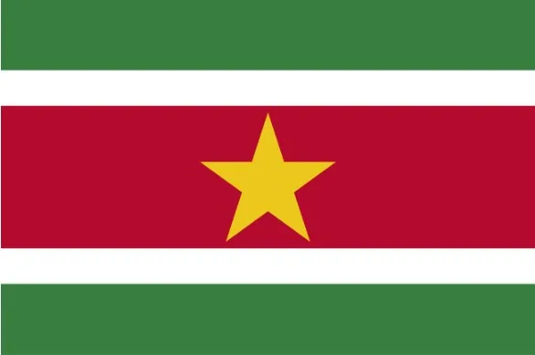 Суринам сто 100% настоящая Подлинная памятная нота оригинальная коллекция | Дом и