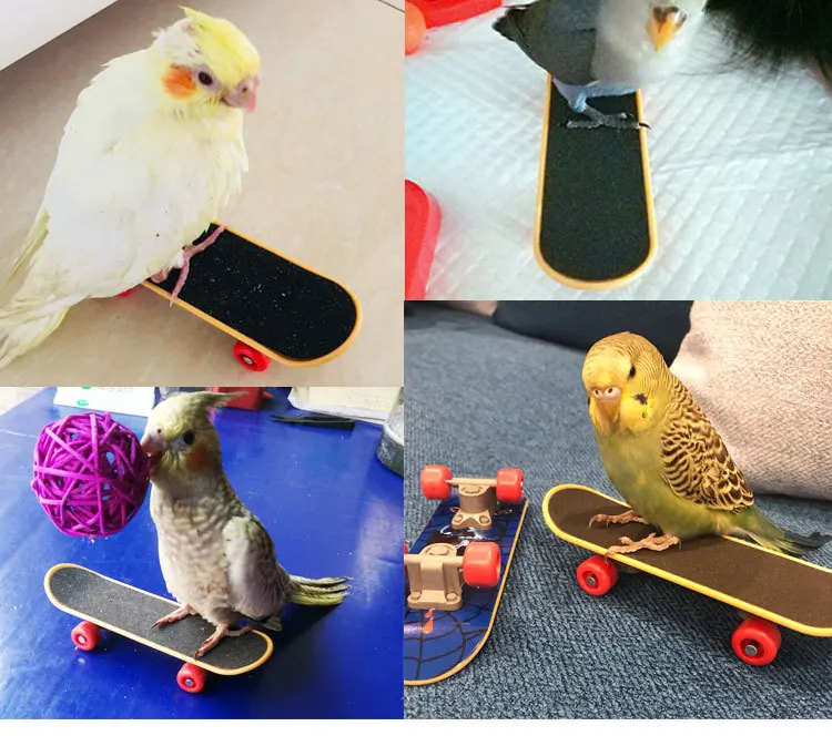 Игрушки для интеллекта в виде попугаев мини скейтборд тренировок рост забавная
