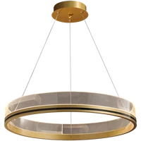 modern fashion pendant lights minimalist villa apartment bedroom indoor decor lighting golden round iron art suspension lamps