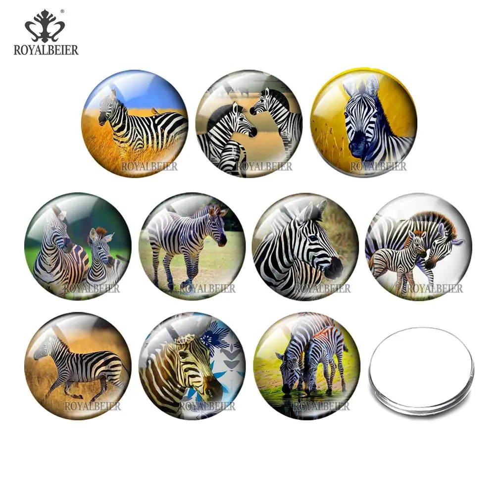 

10pcs/lot Mixed Cute Zebra Round Glass Cabochon Buttons 2mm/16mm/18mm/25mm/30mm Glass Snaps Fit Jewelry Bracelet Accessories