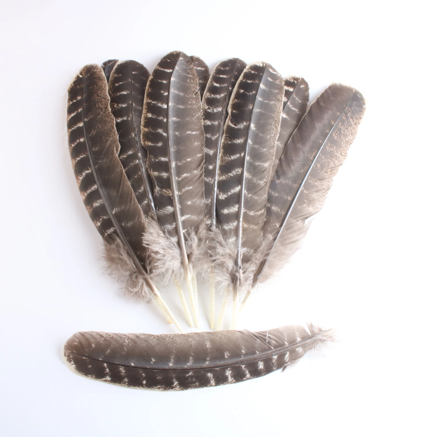 10 шт./лот качественные натуральные орлиные перья для Crafts10 12 дюймов/25 30 см