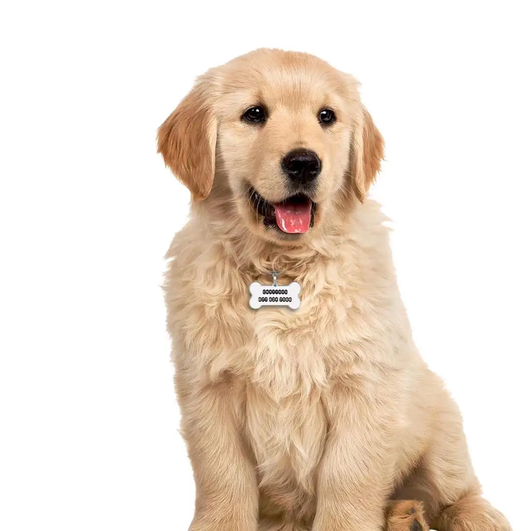 

1pcs Cat Dog ID Tag Custom Free Engraving Personalized Dog Collar Pet Charm Name Pendant Bone Necklace Collar Puppy Accessory