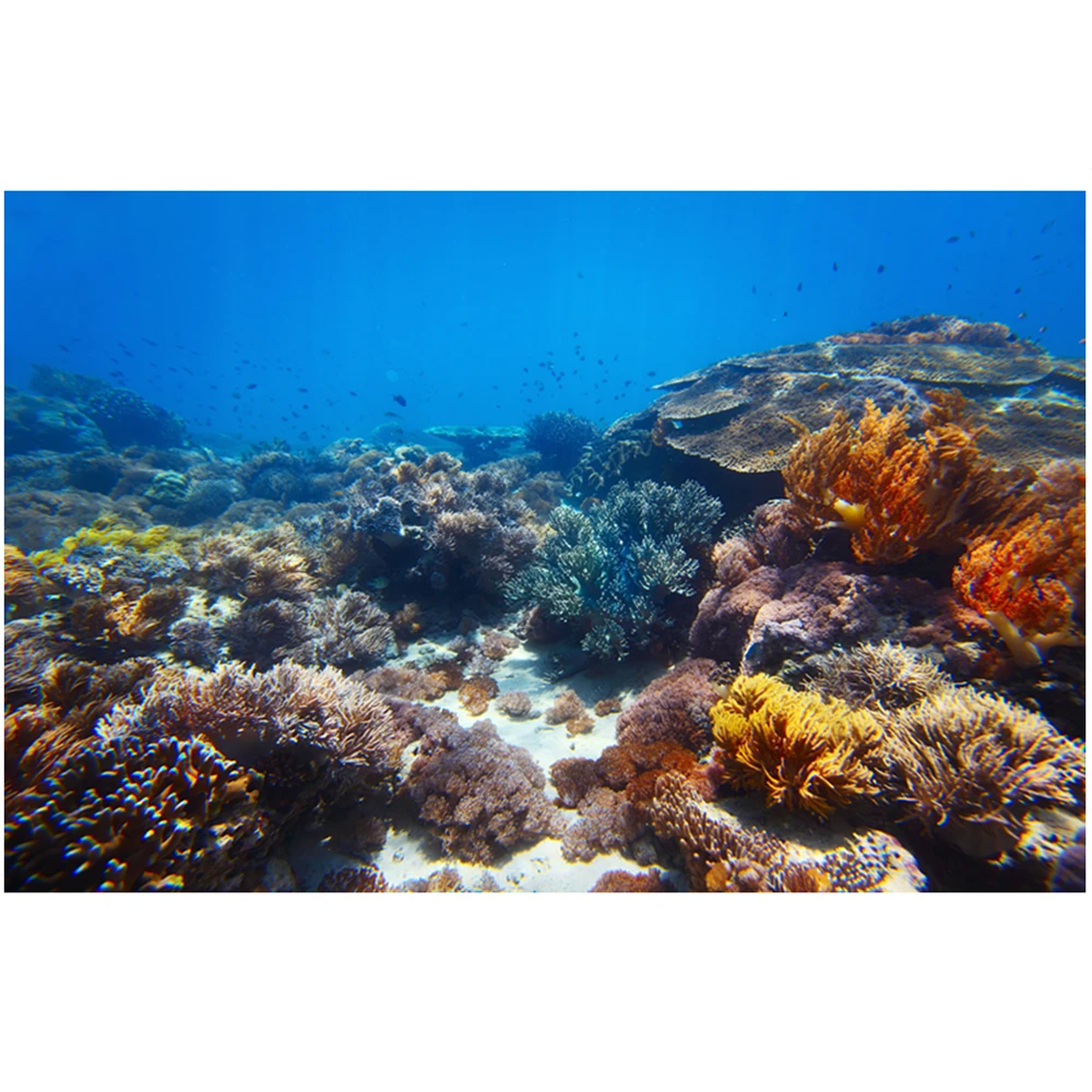 

Colorful print Wall Tapestry underwater world tapestry M988