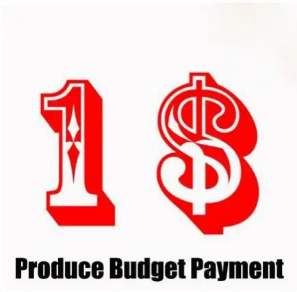 

Producte Budget Payment/Fill The Postage/Price Difference/Reissue goods