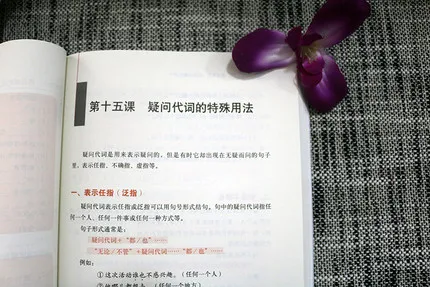 

Teaching Foreigners Practical Chinese Grammar for learning hanzi chinese best grammar book