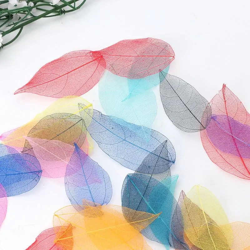 

50Pcs/Set Mixed Color Natural Skeleton Leaves Pressed Flower for Jewelry DIY Making Tool Decoration Accessories