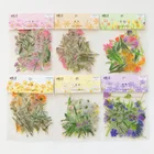 Наклейка из ПВХ для рукоделия, блокнота, дневника, бутылки, украшения сделай сам, 6 видов на выбор, 40 шт.пакет