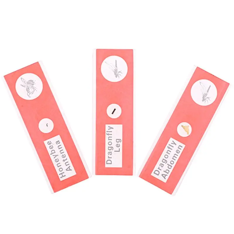 

48pcs/set Kids Plastic Prepared Microscope Slides Biological Specimen Sample