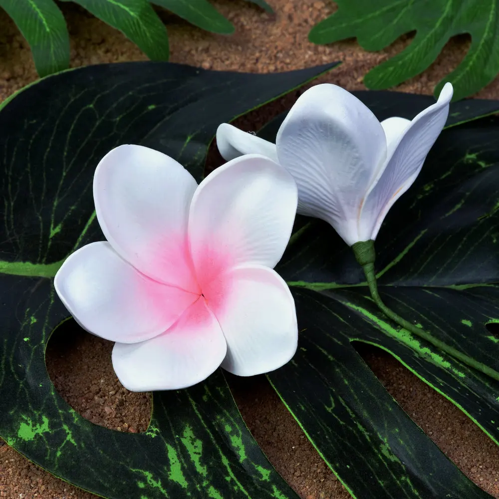 Рисунок 6 - Бесплатная доставка