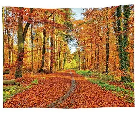 

Autumn Landscape Tapestry Fall Nature Scenic Scenery Trees Woods Forest Plant Leaves Art Decor Wall Hanging