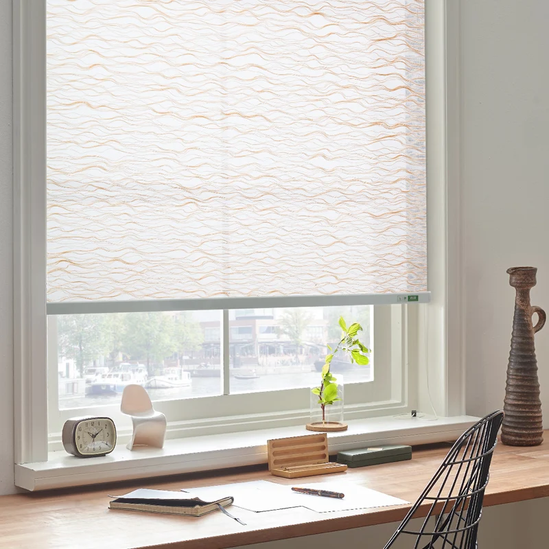 

Tipiace Rechargeable Battery Motorized Electric Roller Blinds Shades Light Filtering Fabric Customized Size