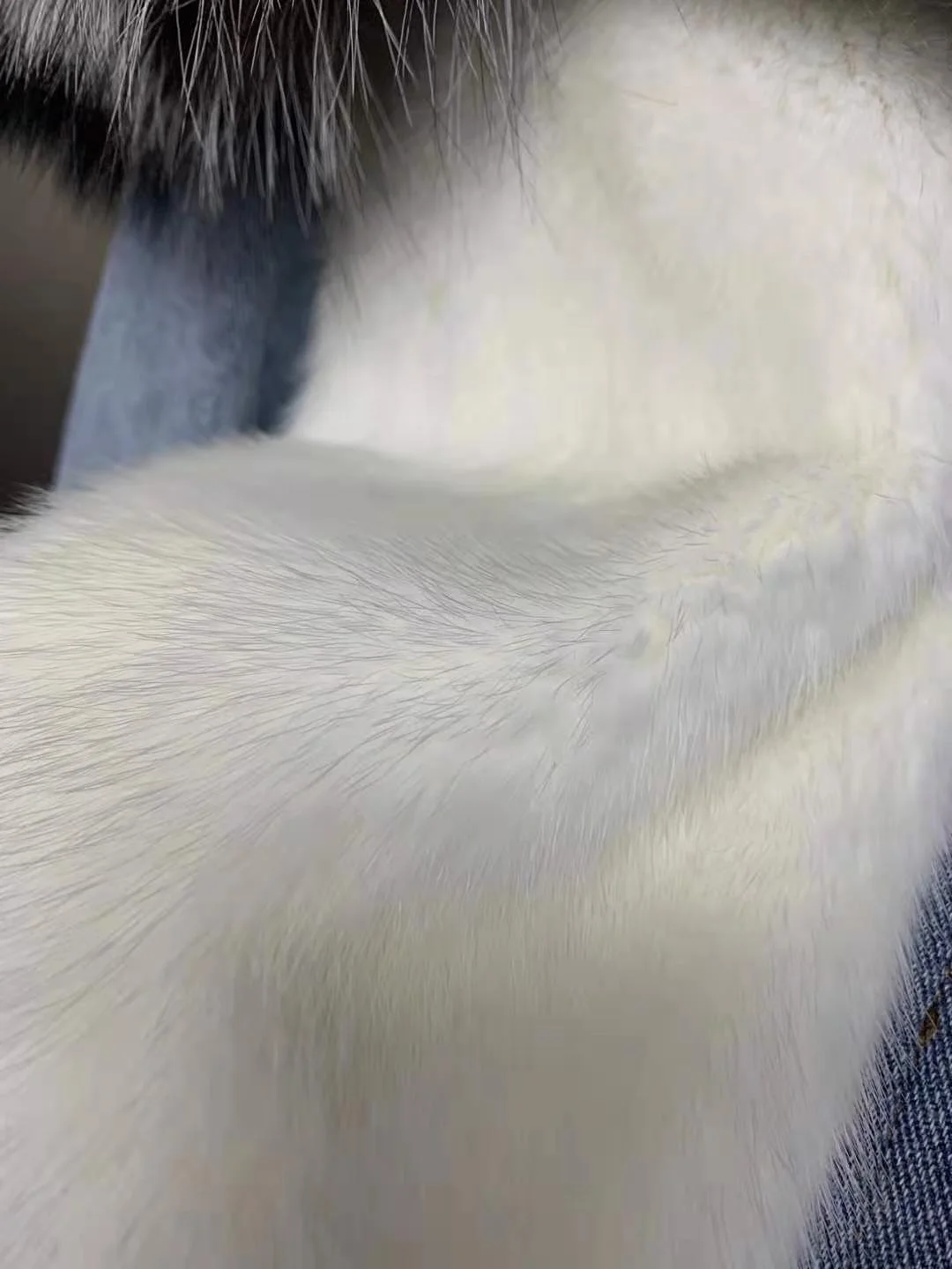 Куртка женская джинсовая с капюшоном парка из натурального Меха чернобурки в