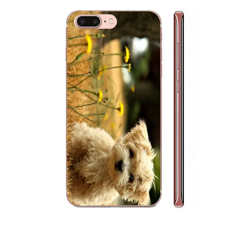 Гибридный чехол для Apple iPhone 11 Pro X XS Max XR 4 4S 5 5C 5S SE SE2 6 6S 7 8 Plus забавный щенок чихуахуа |