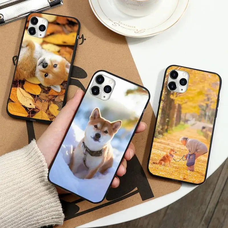 

Animal Corgi Shiba inu Dog Phone Case For iphone 12 11 13 7 8 6 s plus x xs xr pro max mini