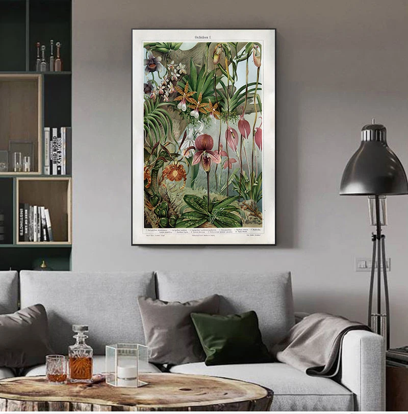 

Орхидеи в конце 1920-х годов, ботаническая фотография, Snapdragon, антикварные цветы, растения, настенная живопись, картина, Декор для дома и комнат...