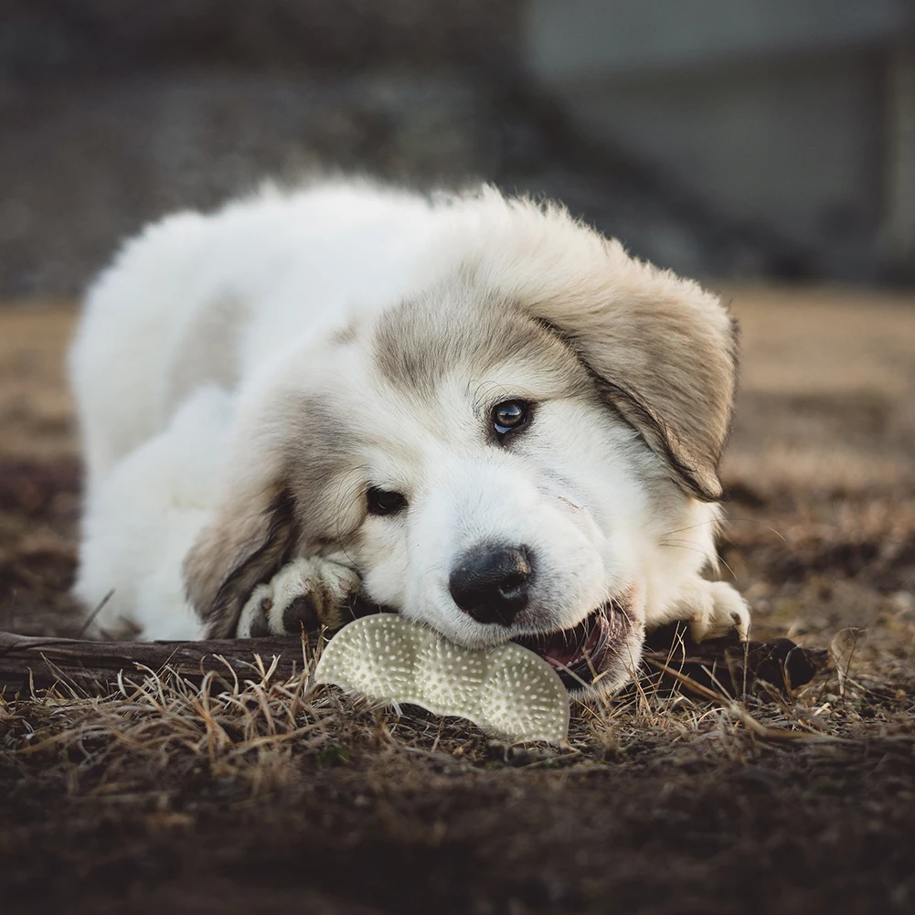 

Training Bite Resistant Chew Puzzle Toy Outdoor Training Durable Elastic Toy Chewing Training Teeth Cleaning for Dog