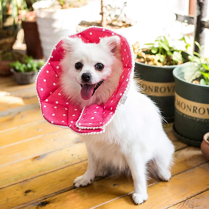 @ HE медицинский ошейник для домашних животных защита от укусов ошейники питомцев