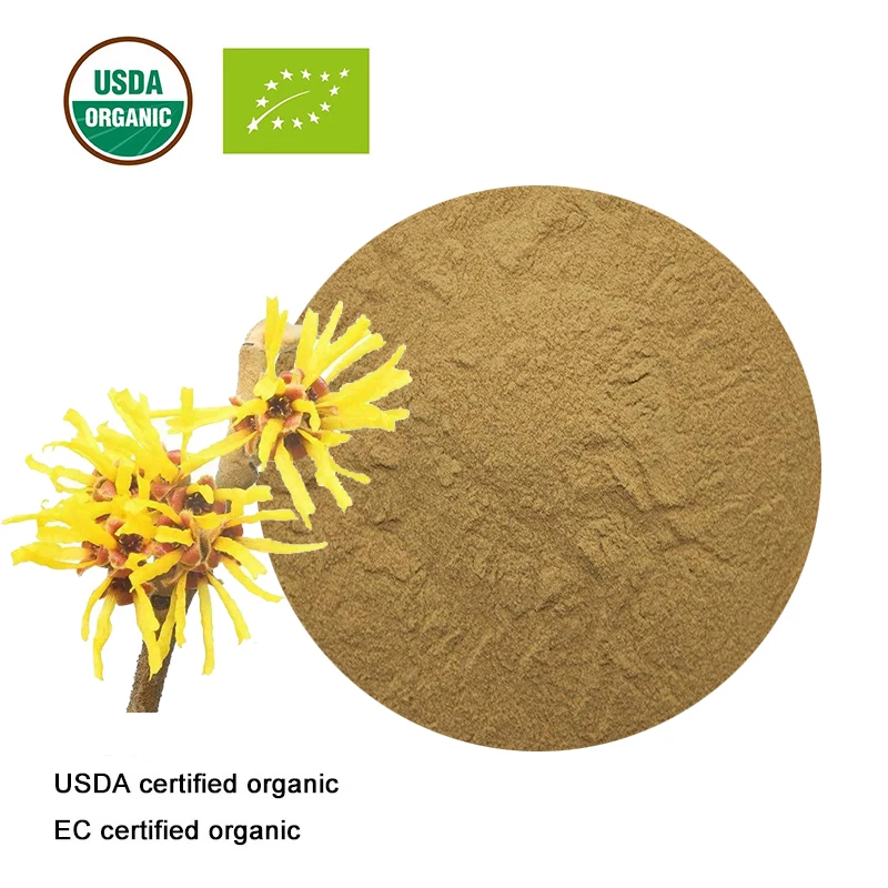 

Witch Hazel Extract Powder Organic Hamamelis virginiana extract 20:1 plant extract