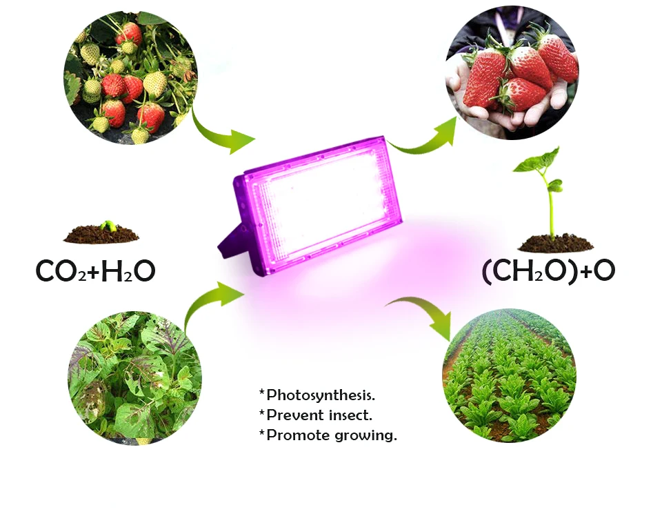 Фитолампа светодиодная полного спектра для выращивания растений 50 Вт SMD 2835 |