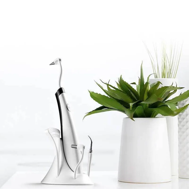 Электрическая ультразвуковая вибрация гигиена полости рта ластик для зубов