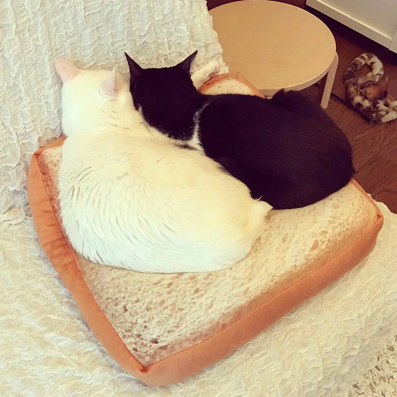 Лежанка для кошек чихуахуа Casita Para Gato Каттен мягкий домик кошки Тедди Cama Perro товары