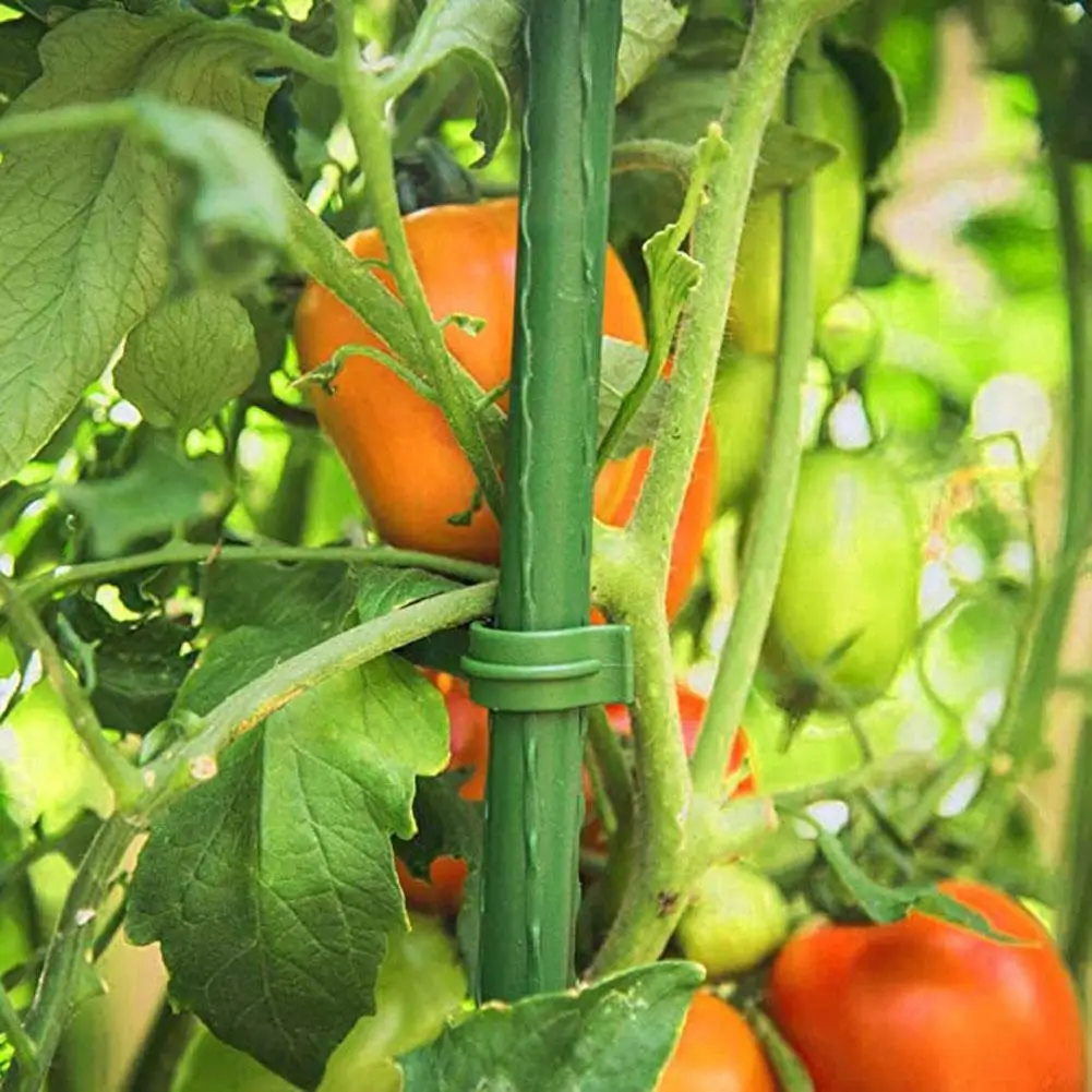 12 штук стержня поддержки растений фиксированный соединитель Скоба для