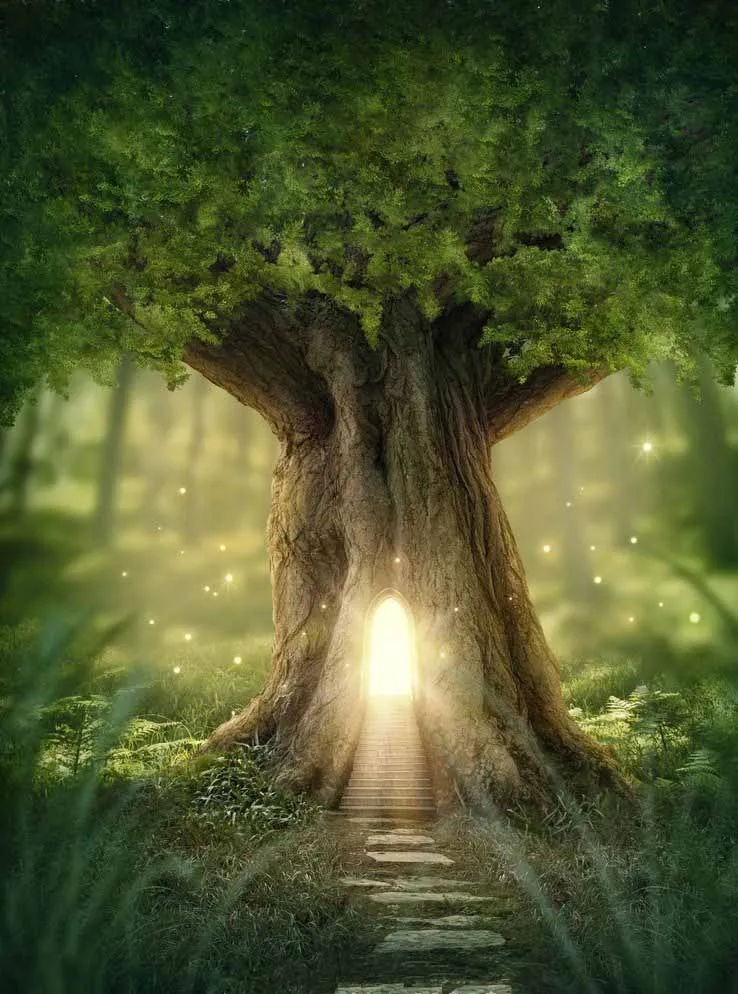 

SHENGYONGBAO Vinyl Custom Photography Backdrops Prop Children Scenery Fairy tale theme Photo Studio Background QD19511-116