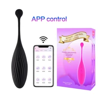 panties wireless remote control vibrator panty vibrating egg wearable dildo vibrator g spot clitoris sex toy for women sex shop
