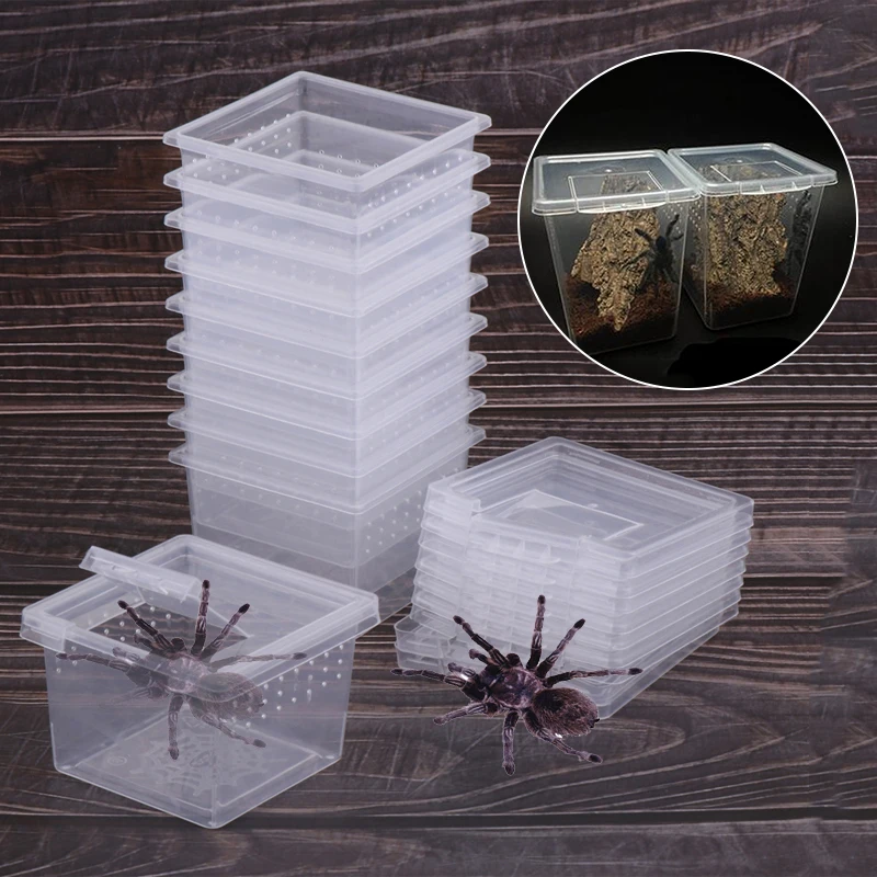 1Pc Plastic Reptiles Living Box Transparent Reptile Terrarium Habitat for Scorpion Spider Ants Lizard Breeding Feeding Case - купить по