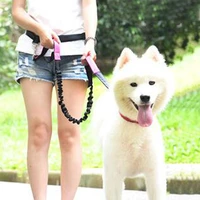 dogs leash pet dog running belt elastic hands freely jogging pull dog leash dogs harness collar jogging lead for dog supplies