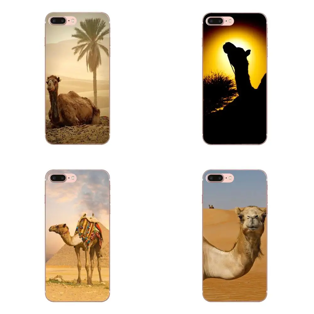 Мягкий ТПУ Модный чехол для телефона Camel Desert HTC Desire 530 626 628 630 816 820 830 One A9 M7 M8 M9 M10 E9 U11