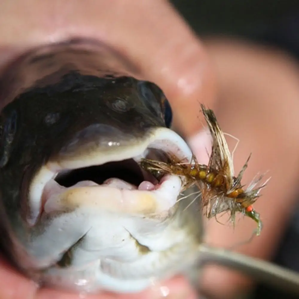 40 шт./компл. крючки для ловли нахлыстом приманки искусственные карпа форели