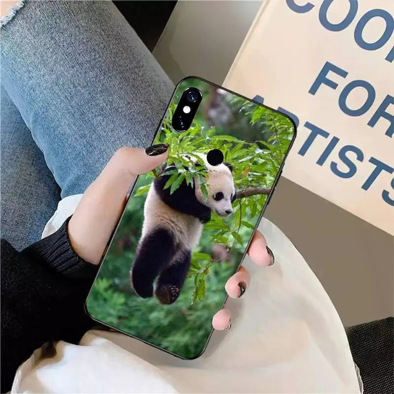 

panda cute funny animal Phone Case For Xiaomi Redmi note 7 8 9 t max3 s 10 pro lite coque funda shell cover
