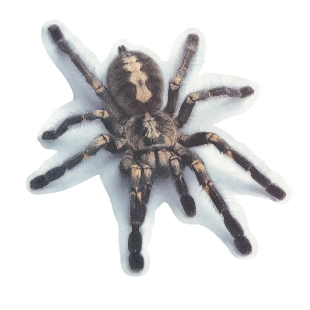 

3D Spider Lizard Scorpion Car Sticker Vehicle Window Mirror Bumper Decal Decor Creative Car Sticker