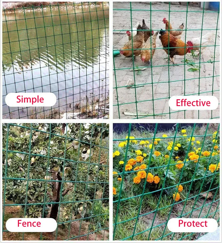 Оцинкованная сетка с маленьким отверстием сварная панель ПВХ покрытием для сада