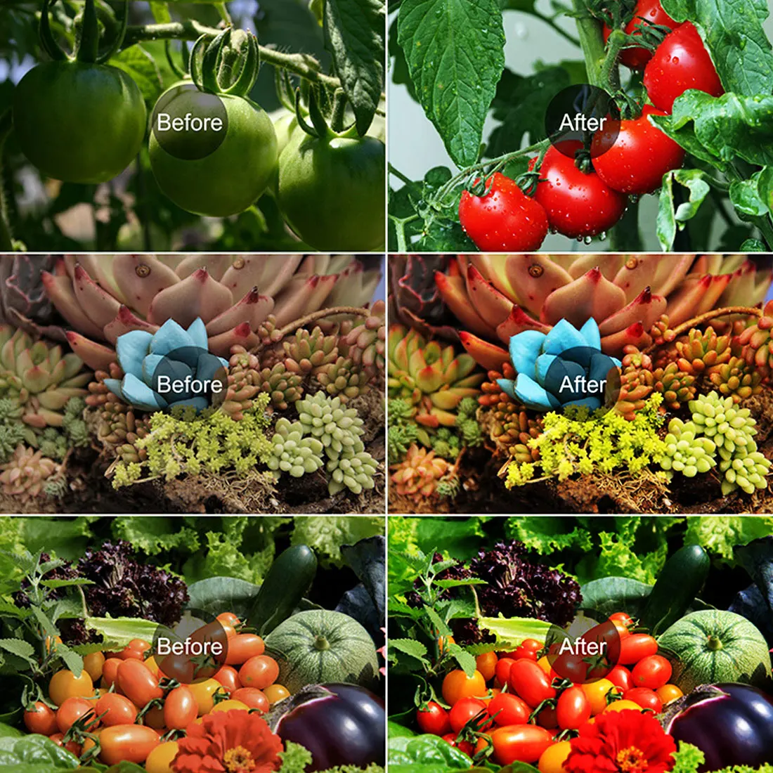 

LED Grow Light AC220V 50W/100W Full Spectrum Phyto Lamp For Plants Tent Aluminum Flower Seeding Lamp Indoor Floodlight Grow Box