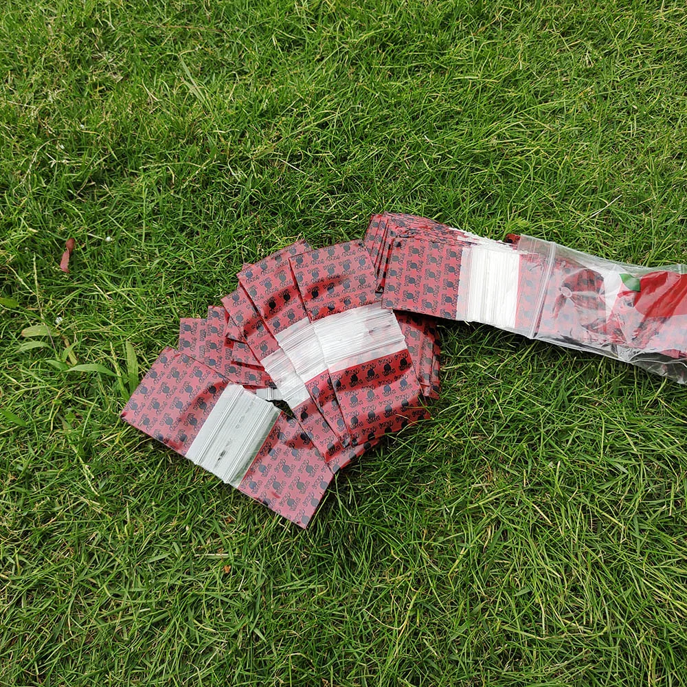 HORNET 100 шт./лот пластиковый многоразовый целлофановый маленький пакет упаковка