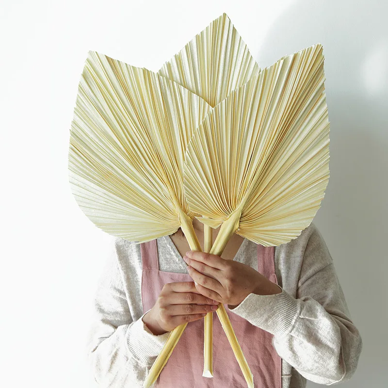 

Palm Leaf Fan Home Decor Wedding Decoration Artificia Plant Living Indie Room Decors Window Reception Garden Outdoor Party