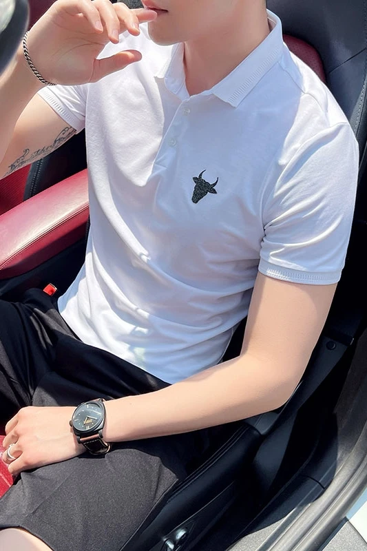 

Fashion Men 2021 Polo Shirts Short Sleeve Lapel Polo Shirt Men Clothing Slim Fit Casual Business Tee Shirts Streetwear Homme